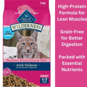 Blue Buffalo Wilderness Natural High Protein Grain Free Salmon Dry Food for Adult Cats 11 lbs.