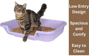 KittyGoHere_Senior_Cat_Litter_Box