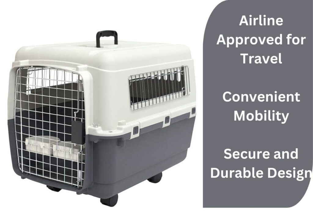 SportPet Designs Plastic Kennels Rolling Plastic Wire Door Travel Dog Crate - Medium, Gray (CM-2001-CS01)