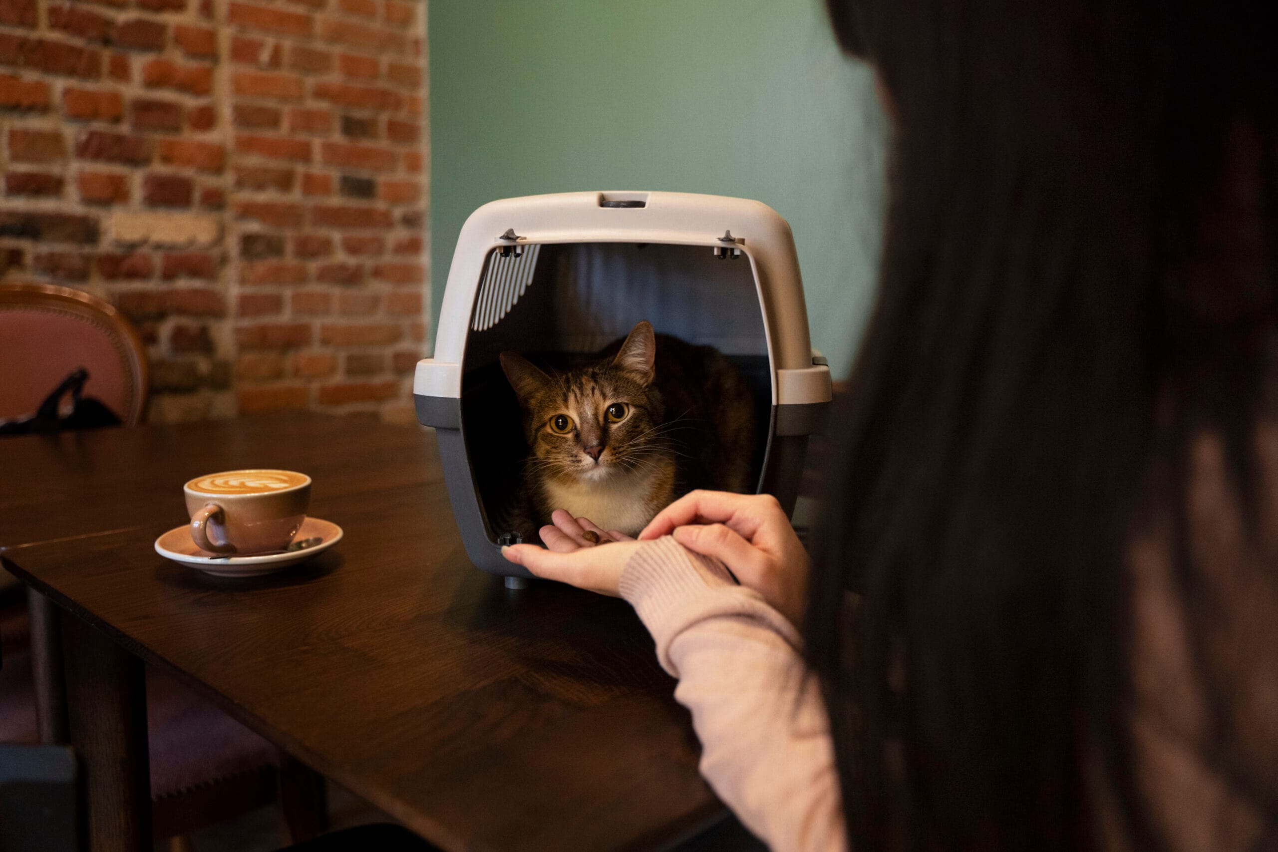 Top Seven Kitty Litter Boxes