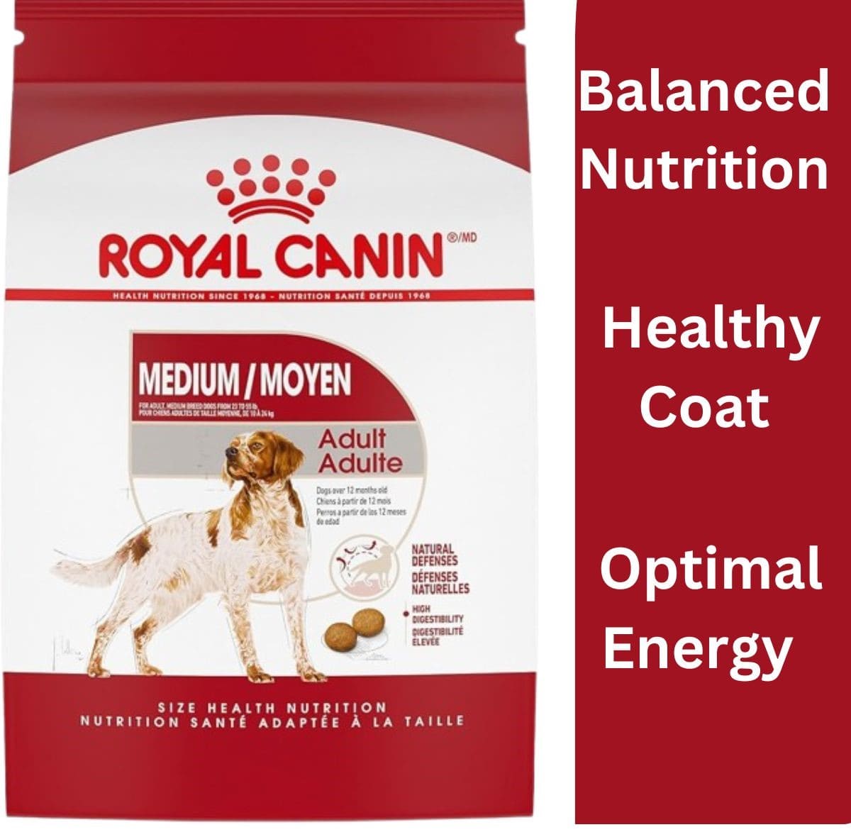 Royal Canin Medium Breed Adult Dry Dog Food, 30 lb bag