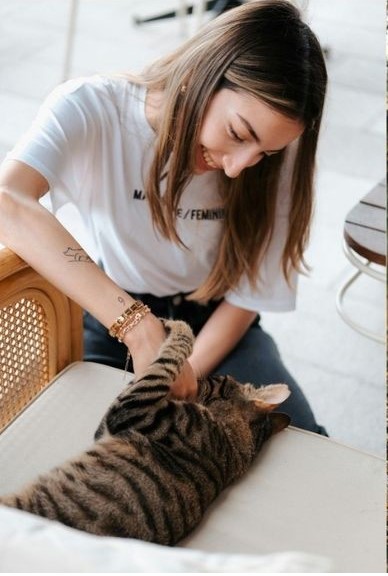 Cat ultimate quiedline featured image