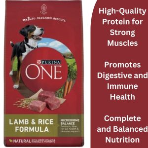 Purina ONE Dry Dog Food Lamb and Rice Formula – 31.1 lb. Bag Purina ONE Dry Dog Food Lamb and Rice Formula - 31.1 lb. Bag